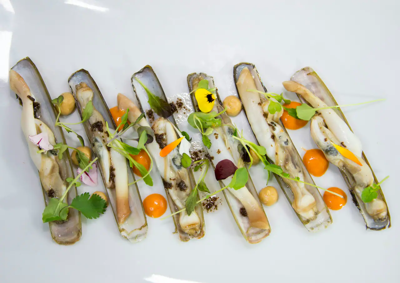 Razor clams in their shells on a white plate, garnished with microgreens, edible flowers and dots of orange sauce
