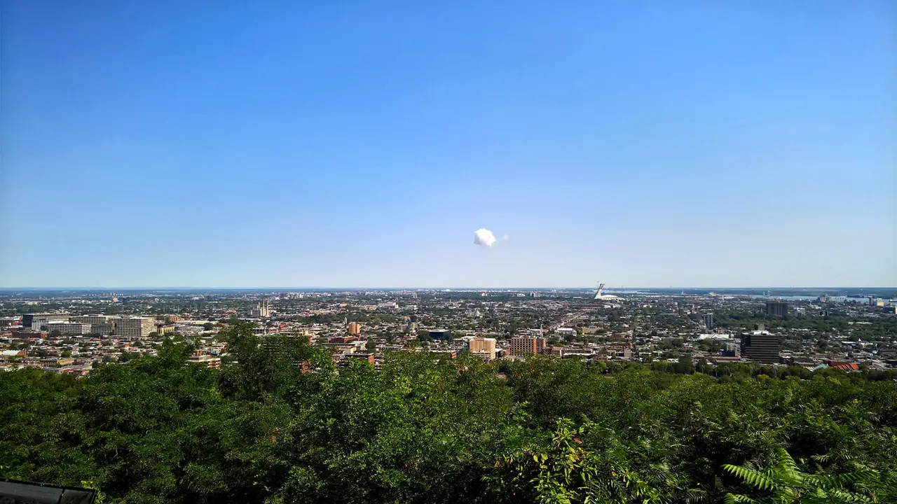 East-facing view from the Camillien-Houde lookout over rooftops toward the Olympic Stadium tower, framed by green treetops under a clear blue sky