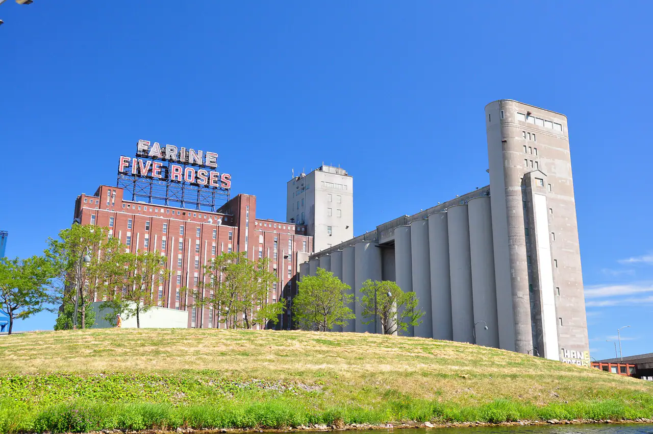 The Farine Five Roses sign on the old flour mill above the Peel Basin, concrete grain elevators beside it under a clear sky