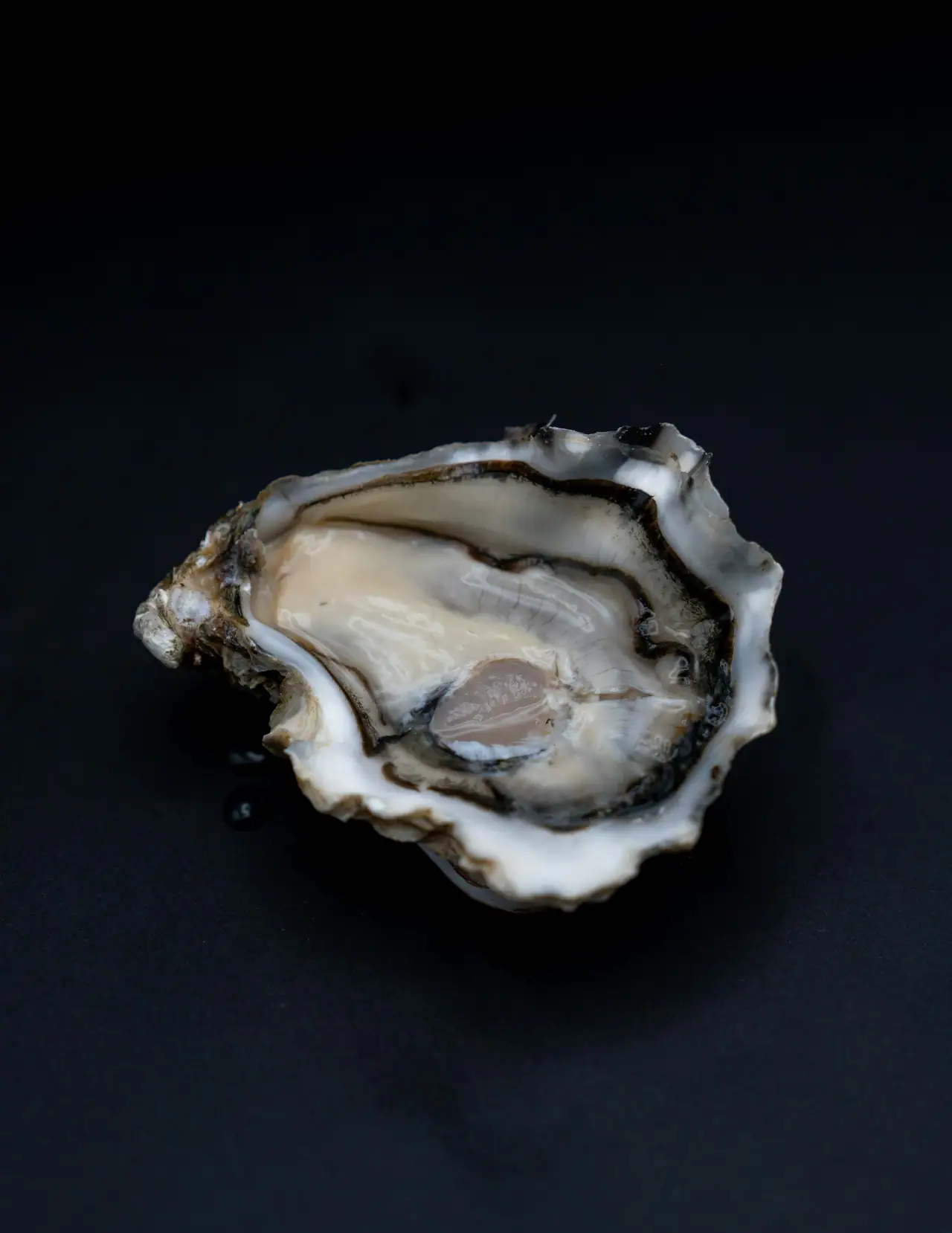 A single open oyster on a dark, matte black surface, lit softly from above