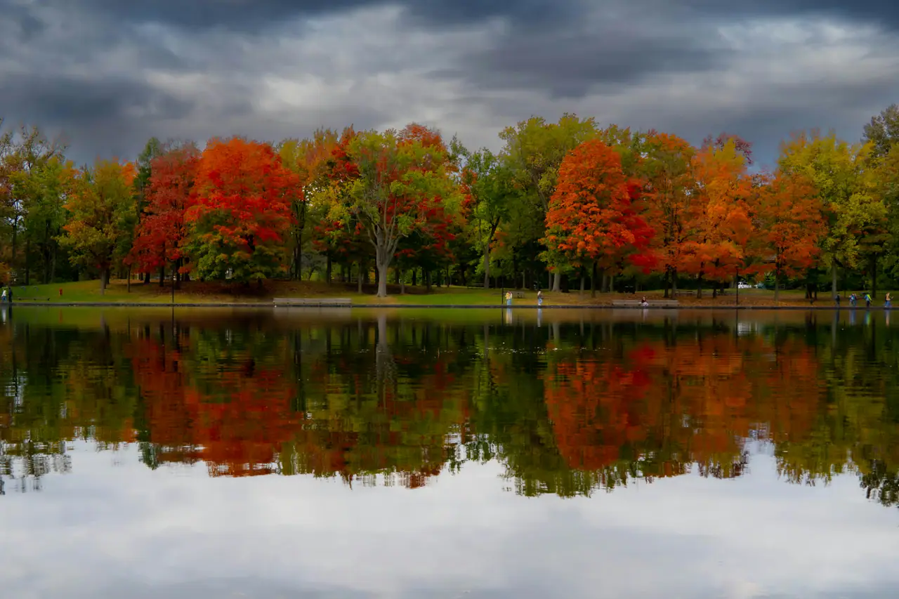 Red and orange maples reflected in the still water of Beaver Lake on Mount Royal under a stormy October sky