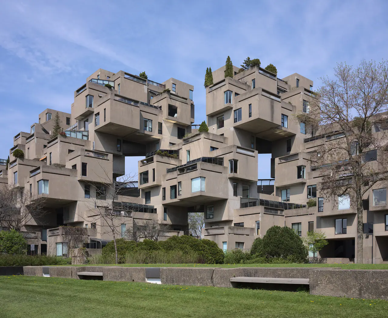 Habitat 67 seen from the lawn below: dozens of stacked, offset concrete housing modules with rooftop trees, bare branches in front and a pale blue sky behind.